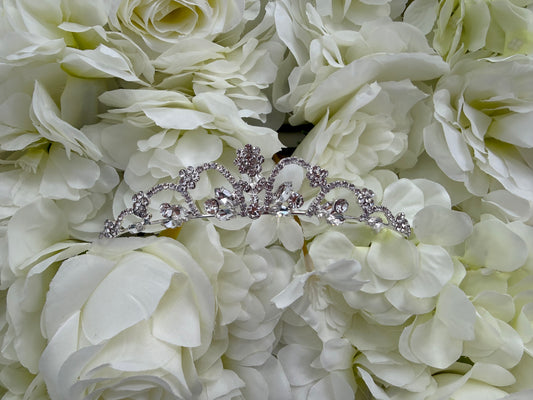 Sparkle Crown Communion Tiara