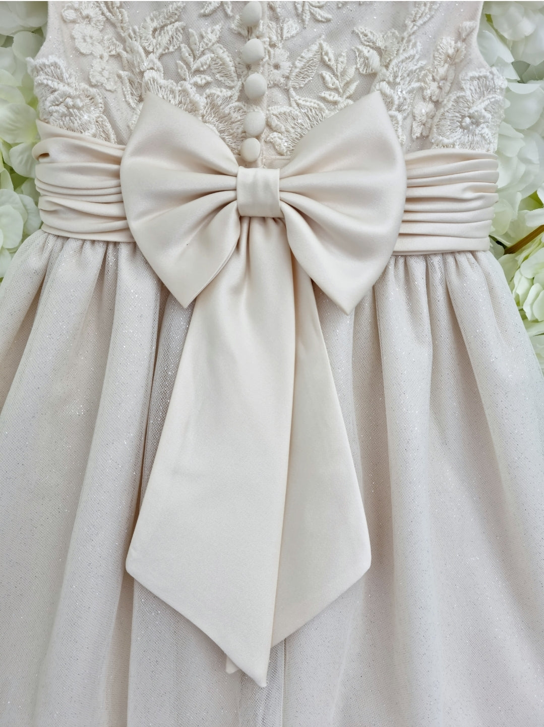 Bella Champagne Occasion Dress