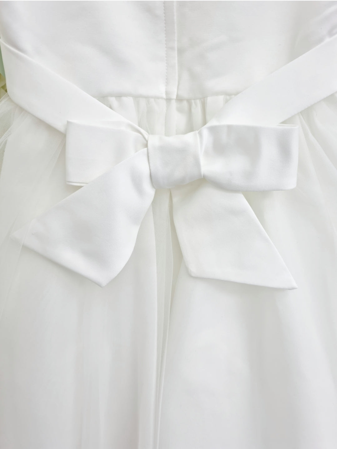 Kaylee Flower Girl/ Occasion Dress